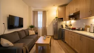salon z kuchnia 19m2